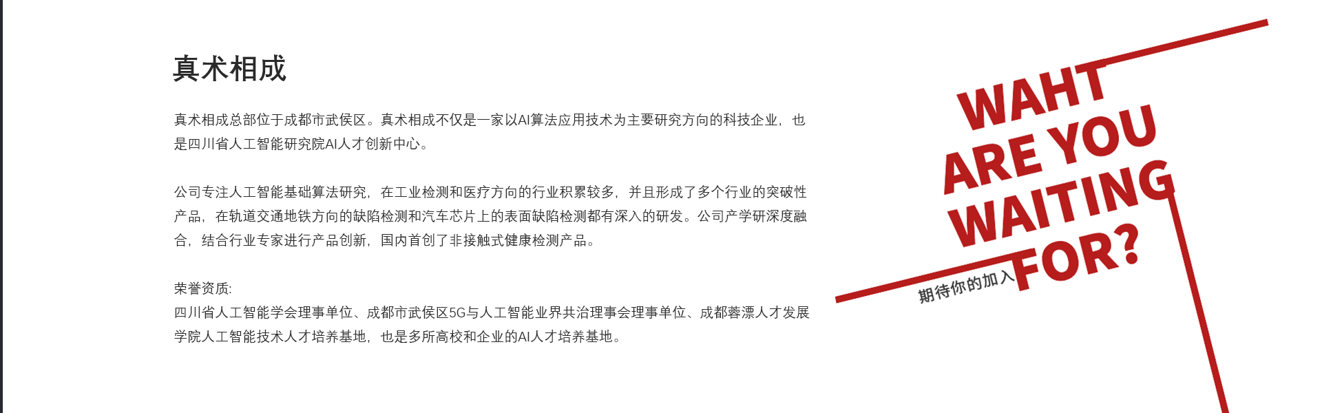 真术科技简介