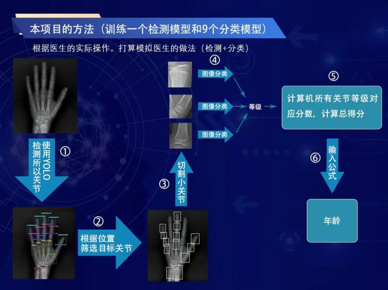 人工智能医疗项目