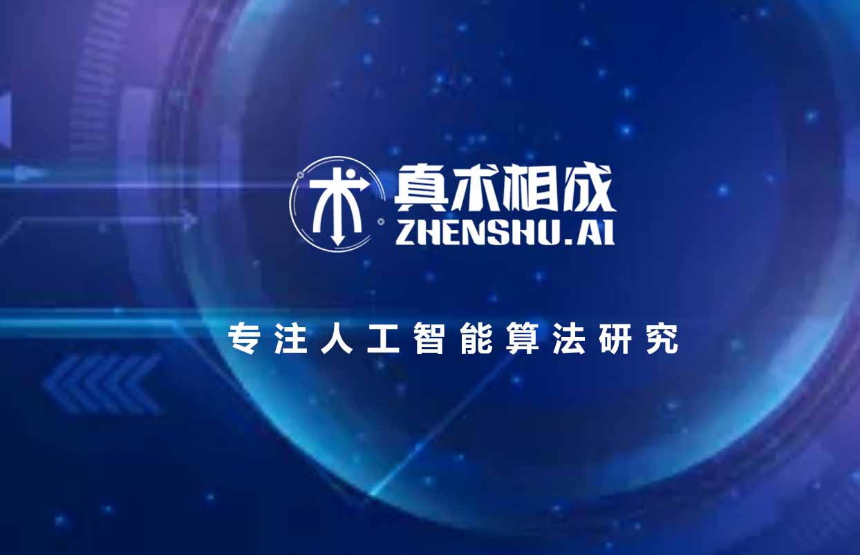推动人工智能产业从兴起进入快速发展的历程中